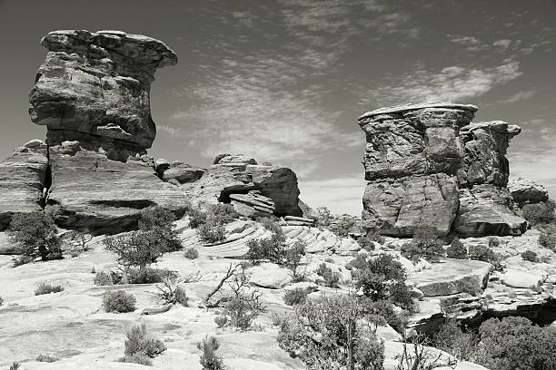 Canyonlands National Park in Utah, USA. Needles district.