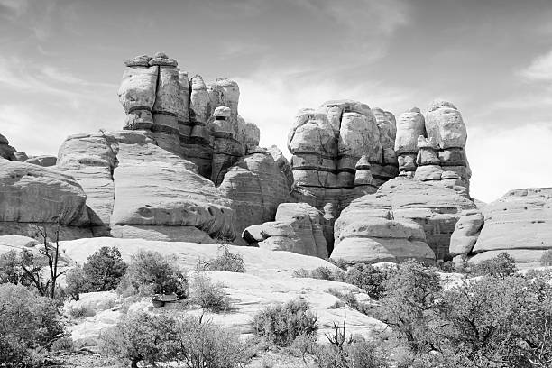 United States nature in Utah. Needles district of Canyonlands National Park.