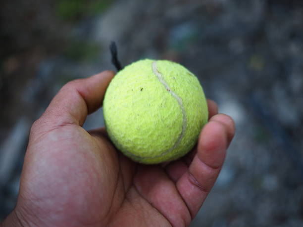 Tennis ball on court.