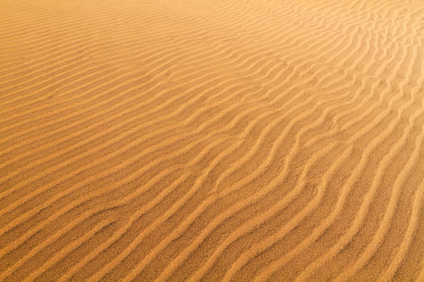 Sunlit sand dunes showing textured ripples and flowing patterns that create an abstract, warm golden-hour landscape background