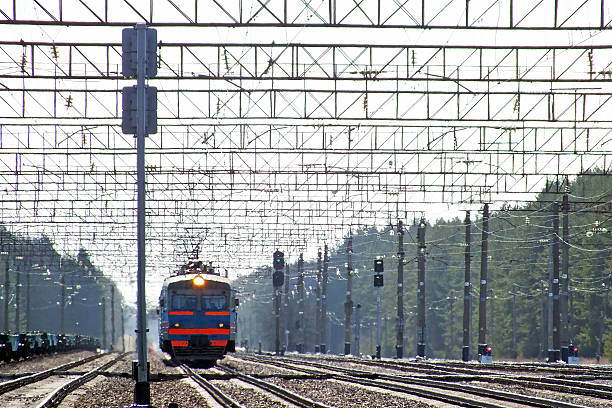 Intercity train of the Nederlandse Spoorwegen (NS) driving through the countryside landscape on the Hanzelijn in The Netherlands during springtime. The train is blurred caused by the speed its traveling.