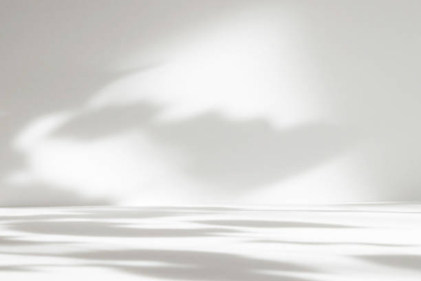 istock Abstract white color studio background for product presentation. Empty room with shadows of window and plant leaves . 3d grey room with copy space. Summer concept. Blurred backdrop. 2259709136