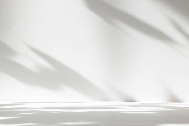 istock Abstract white color studio background for product presentation. Empty room with shadows of window and flowers and plant leaves . 3d grey room with copy space. Summer concept. Blurred backdrop. 2259709172