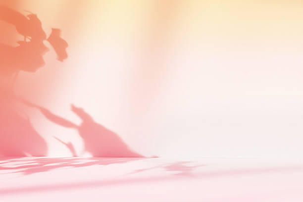 Shadows on the Concrete Wall, Couple Kissing
