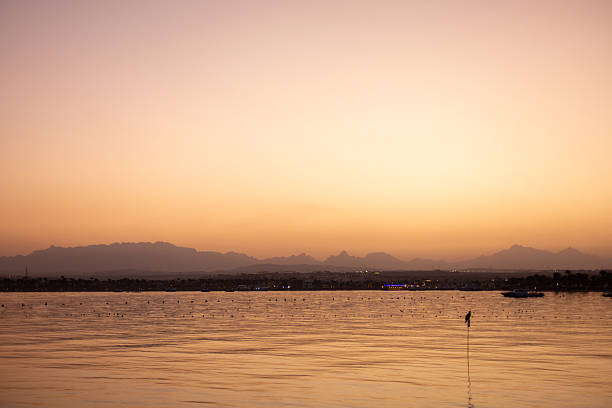 Golden light reflecting on calm red sea waters at sunset with distant mountains