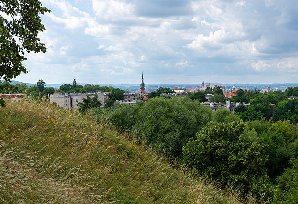 Wide city panorama from Krakus Mound overlooking Podgorze rooftops and the Vistula valley, with Wawel Castle on the horizon under dramatic cumulus clouds, framed by meadow grass and goldenrod.