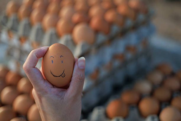 Hand holding an egg with a drawn smiley face over egg trays, symbolizing food quality, freshness, creative branding, and human touch in poultry farming and agriculture.