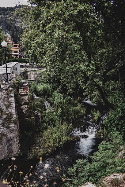 A river with a waterfall in the forest thicket