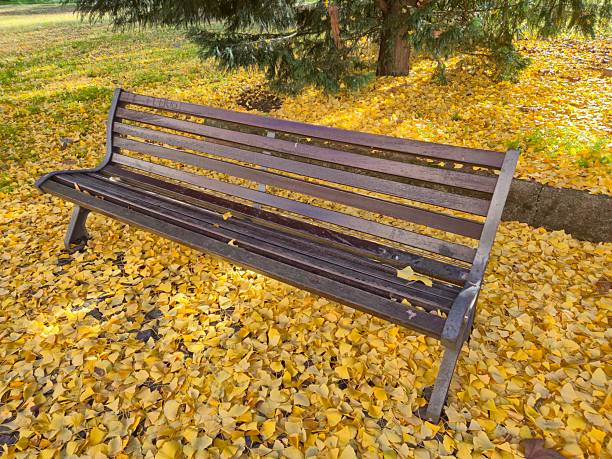 Bench in the park close-up
