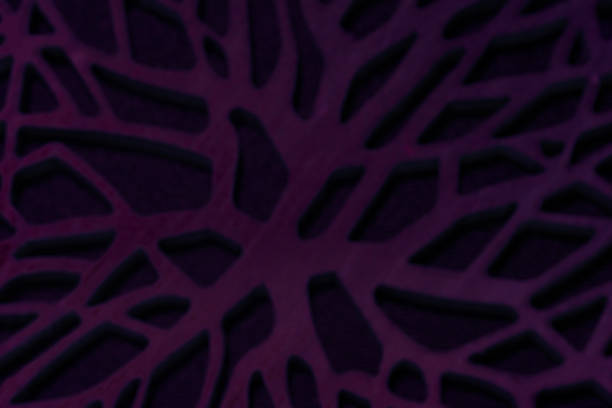 abstract artistic roots blurred canvas black purple colors silhouette