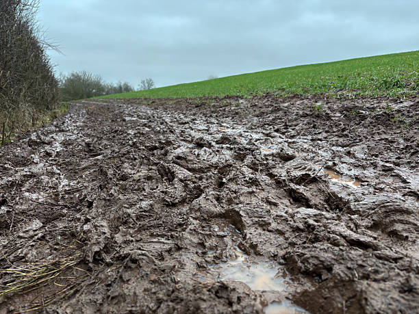 A muddy public footpath in the countryside in winter, North Yorkshire, England, United Kingdom