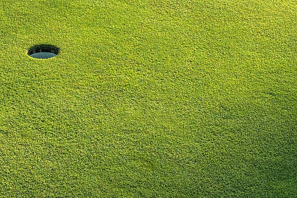 Twilight sun hits the textured, manicured grass and hole punched into a putting green on a golf course, creating a background plate or graphic element.