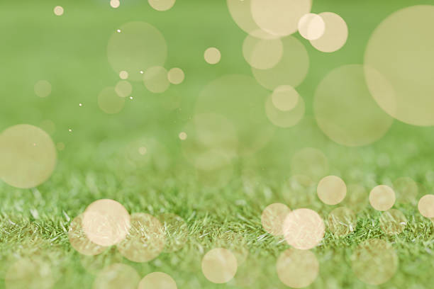 Closeup of green grass with warm bokeh lights, evoking a fresh spring or summer atmosphere. 3d rendering