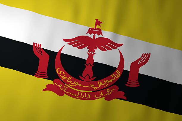 The national flag of Brunei featuring a yellow field crossed by white and black diagonal bands with the red national emblem at the center. The emblem represents monarchy, Islamic values, and national authority.