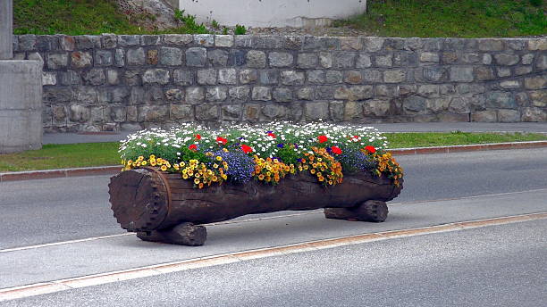The summer streets of St. Moritz are awash with vibrant floral displays, highlighting the elegance of this Alpine resort. The main squares and promenades feature both classic urban flowerbeds and unique themed displays. In the summer, the central streets of St. Moritz Dorf are lined with lush patches of marigolds, petunias, and begonias, often in vibrant shades of orange, yellow, and white.