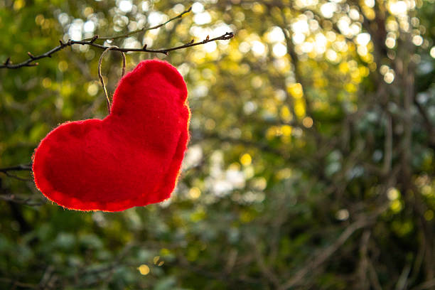 A dreamy display of red hearts floats against a soft, blurred backdrop, creating a romantic and warm mood ideal for Valentine's campaigns, love, family moments, or festive celebrations.