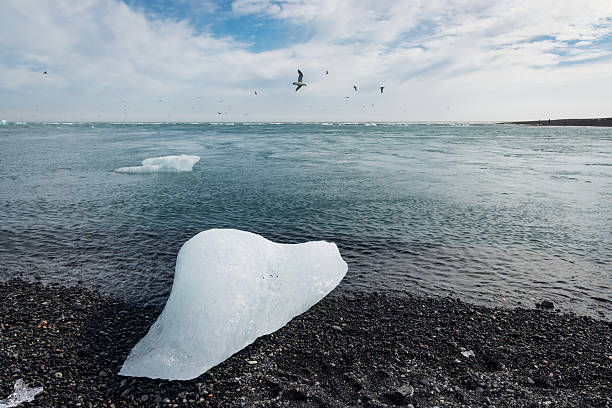 Huge glacial iceberg stranded on black sand at Diamond Beach, Iceland, with ocean waves and seagulls under a cloudy sky, evoking cold, remote Arctic tranquility