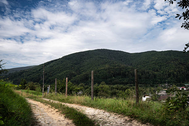 Straight paved road of the Uymonsky Tract leads toward distant Altai mountains, passing through green fields with scattered trees under a rich blue sky dotted with white clouds. Ideal for travel, road trip, freedom and countryside concepts, with strong linear perspective and wide horizontal copy space.