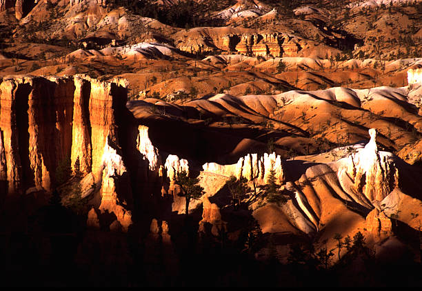 Bryce Canyon National Park - Utah, United States - September 13, 2007: Bryce Canyon Hoodoos
