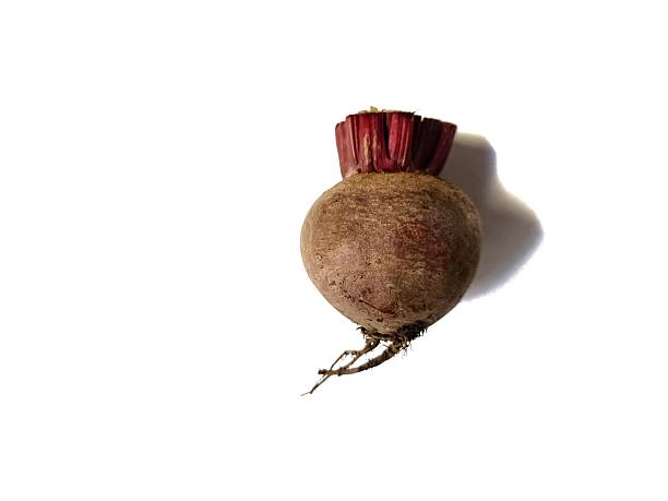 Single fresh whole beetroot with short stem and natural earthy skin, isolated on white background. Raw root vegetable commonly used in healthy cooking, juices, and natural food preparation.