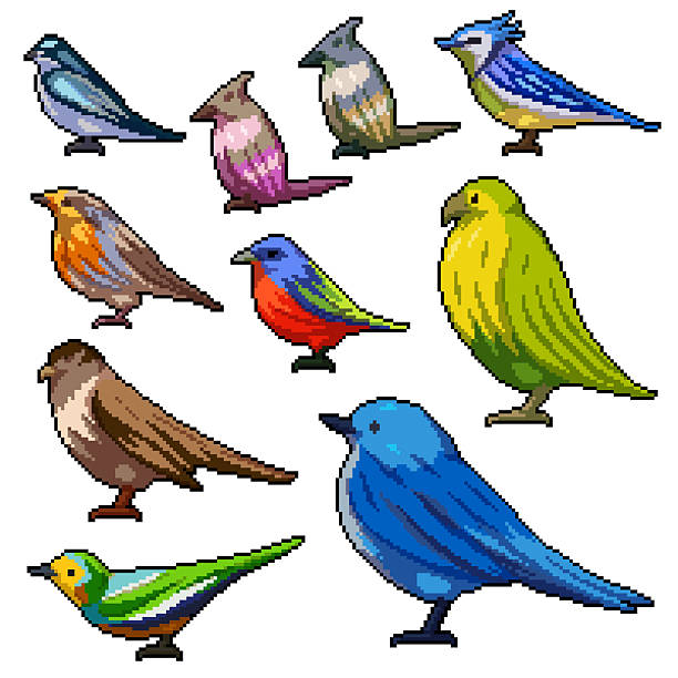 pixel art isolated background of various colorful small bird