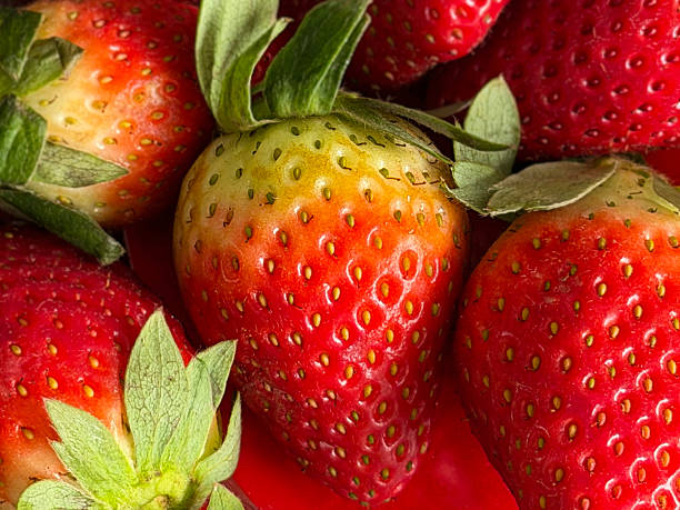 Stock photo showing close-up, elevated view of a pile of whole, bright red strawberries in a transparent, plastic punnet on a wooden kitchen counter. The strawberry is a popular summer fruit that is considered to be an especially healthy snack 'super food', since they are packed with beneficial antioxidants and fibre, being a good source of vitamin C.