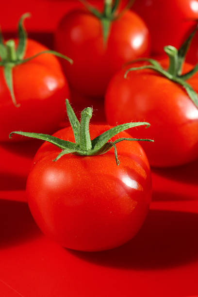 Stock photo shows close-up of fresh individual cherry tomatoes on the vine against a vibrant red background. Highlighting natural color, texture, and freshness, these tomatoes are perfect for healthy salads and plant-based meals. Ideal for clean eating, organic produce promotion, farm-to-table concepts, and wellness-focused culinary presentations