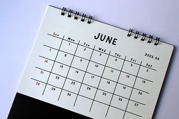 June 2025 Monthly Calendar Planner Template on a white background. 3d Rendering