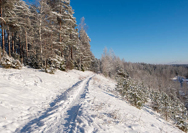 Winter forest road in the mountains.