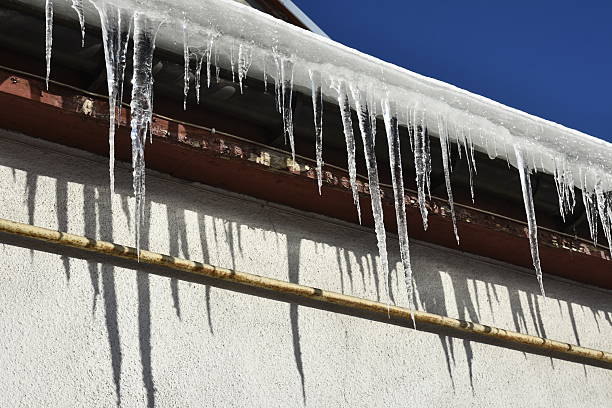 Icicles hanging from a roof. The icicles are long and thin
