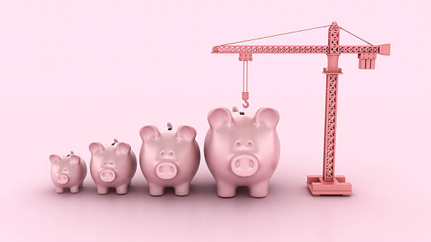 Three Little Pigs Newborn Pet Piglets at White Background