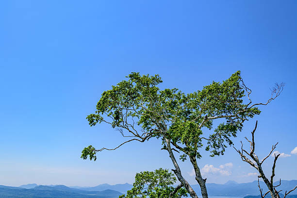 Exhilarating Hokkaido Mokotoyama Observation Deck