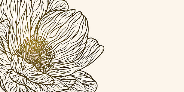 Abstract background with hand drawn floral elements. Elegant golden peony floral line art. Vector design templates for postcard, poster, business card, flyer, magazine, banner, wedding invitation.