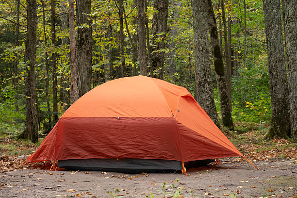 Camping tent in forest at Porcupine Mountain State Park, Michigan, USA