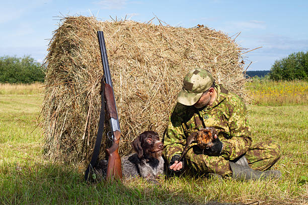 Field of hay bales. A hunter and his dog relax near a round hay bale during an autumn hunt. A hunter shows a captured partridge to a dog.