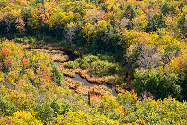 Landscape at sunset of Lake Michigan shoreline, Sleeping Bear Dunes National Lakeshore, Michigan, USA