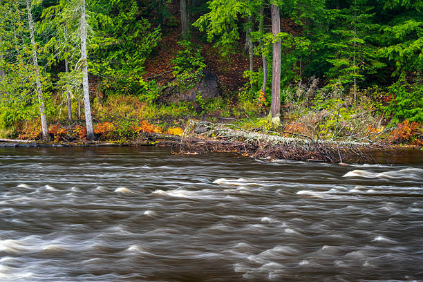 Tahquamenon Falls State Park in Autumn, Michigan, USA