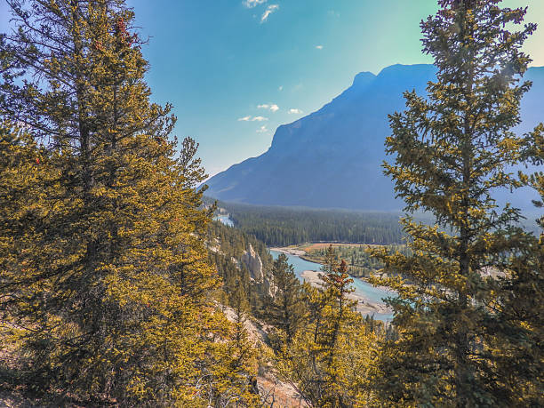 A mountain river flows through a forested valley in British Columbia, Canada, surrounded by pine trees and rugged mountain terrain. Captured in early autumn under clear blue skies.