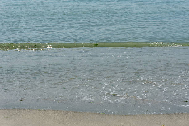 Sand and sea with waves on the beach
