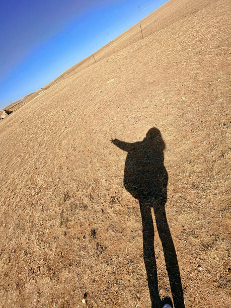 A shadow of a figure and their dog walking on a field in late Autumn in Vermont during stick season.