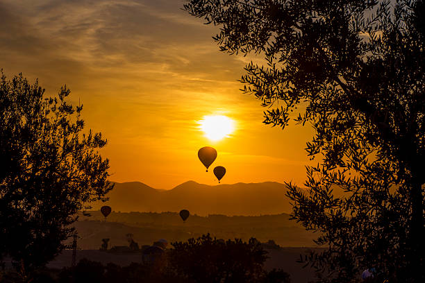 Umbria, Italy:Hot air balloons in flight at dawn