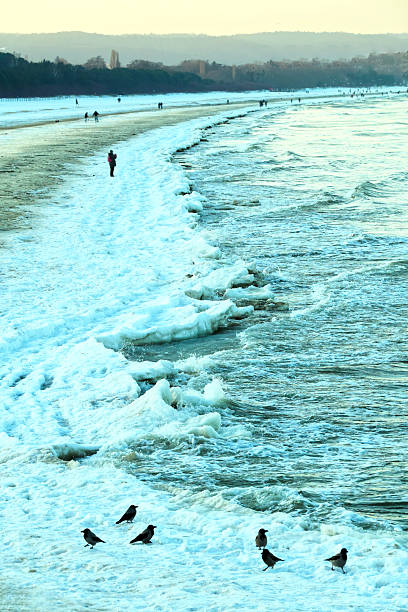 Winter baltic Beach with snow Icy Waves and sunset sky over