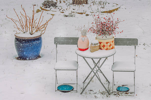 Flower arrangement in the garden