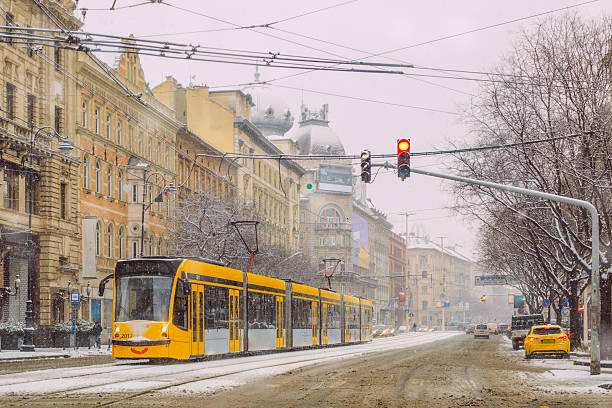 Beautiful Budapest - winter mood