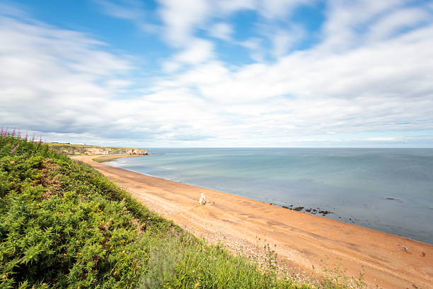 County Durham UK: 26th July 2020: Durham Heritage Coast