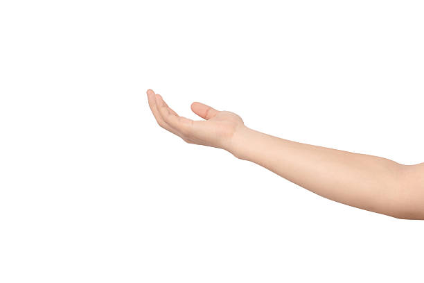 A hand with an open palm extended forward, isolated on a clean gray background. Perfect for concepts of offering, giving, receiving, or holding an invisible object. There is ample negative space for t
