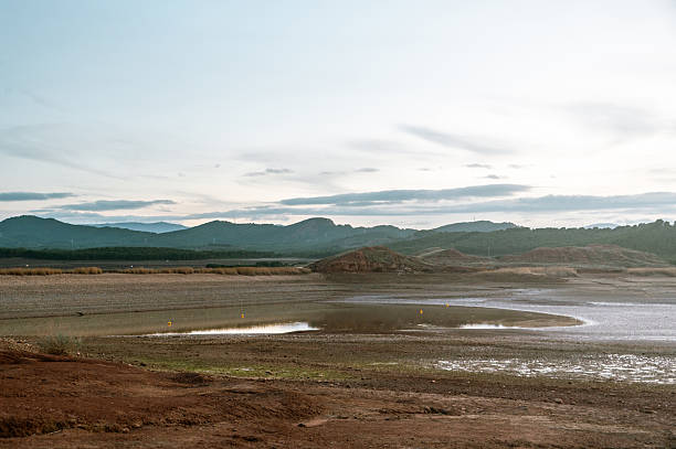 Wide view of a wetland or marsh area, representing natural reserves, biodiversity, water ecosystems, and environmental conservation.