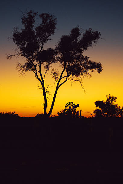 Outback landscape showing a windmill and tree silhouette against a vibrant golden sunset sky