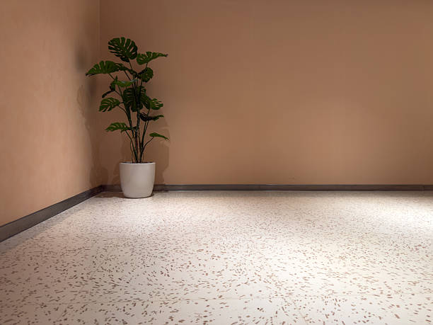A serene corner featuring a potted plant on a speckled floor against a plain wall, evoking simplicity and tranquility. Ideal for design inspiration or calming spaces.
