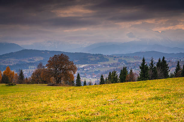 Wide autumn valley view with green meadow, scattered trees and distant mountain range under overcast sky, peaceful rural landscape showing seasonal change and natural depth